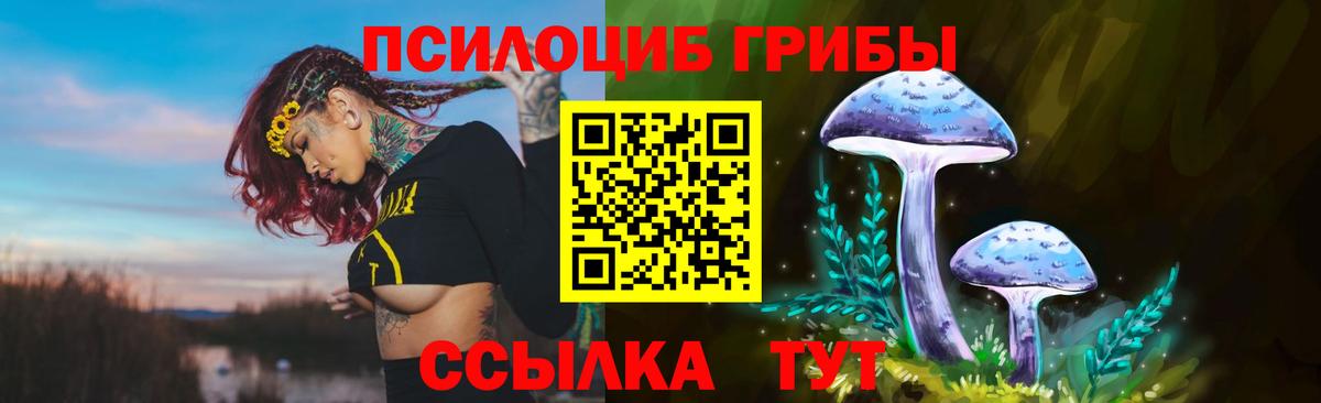 Псилоцибиновые грибы прущие грибы  Вход с VPN  Псилоцибиновые грибы прущие грибы  Таганрог 